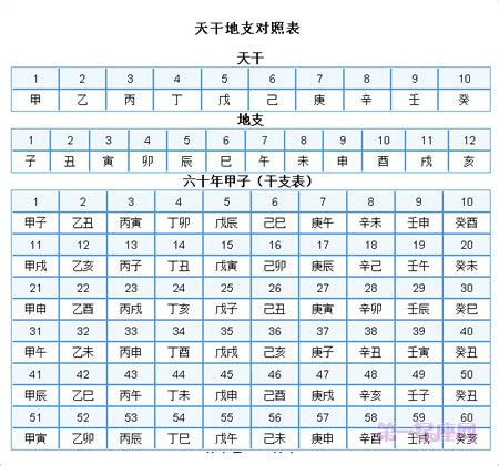 2024 年 天干地支